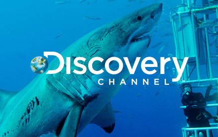 Discovery Portfolio